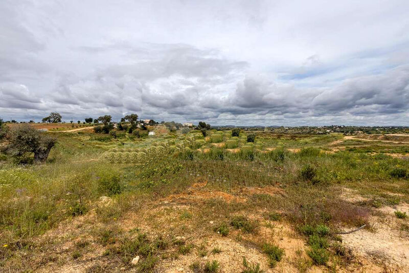 Land Agricultural with 101520sqm Guia Albufeira - sea view, water, water hole, electricity, great view