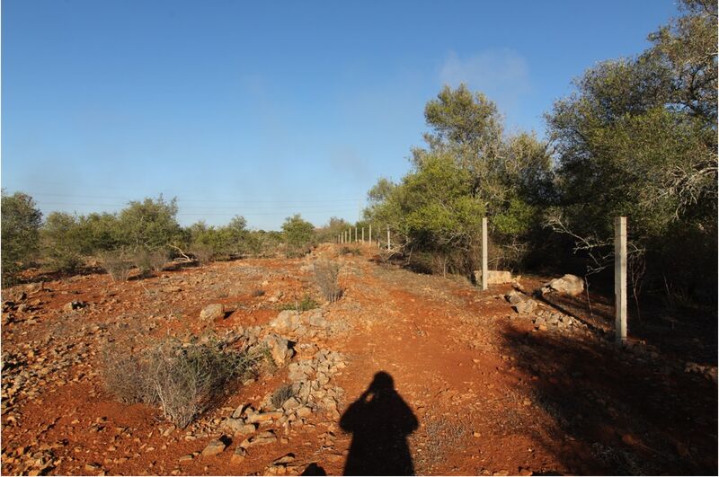 Land with 2400sqm Silves