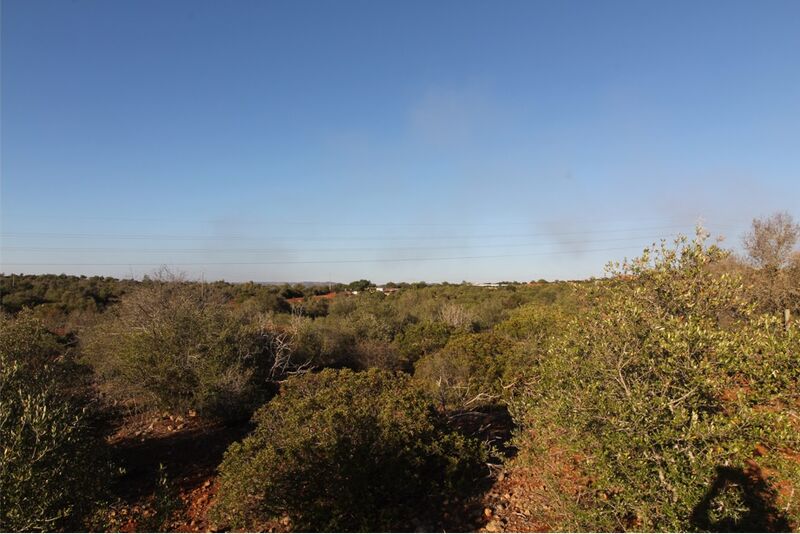 Land Rustic with 2400sqm Silves - olive trees