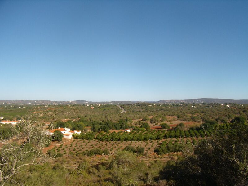 Land Urban/agricultural with 8320sqm Tunes Silves - garage