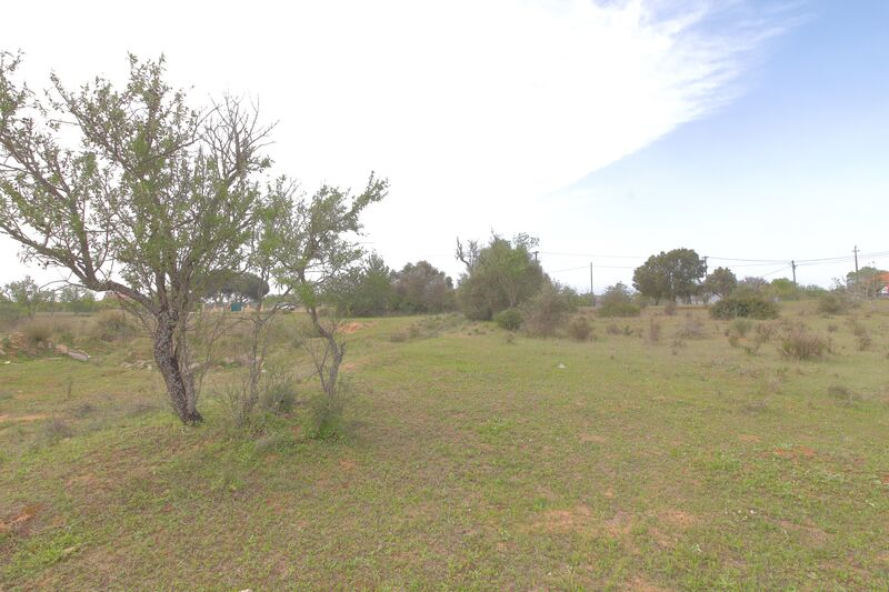 Terreno Misto com 2541m2 Lobito Silves - água, electricidade