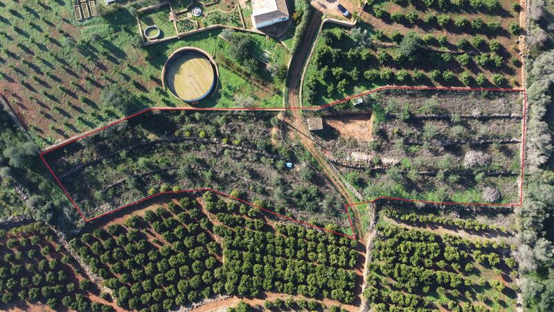 Land Urban/agricultural with 4840sqm Poço Barreto Silves - orange trees, well, electricity