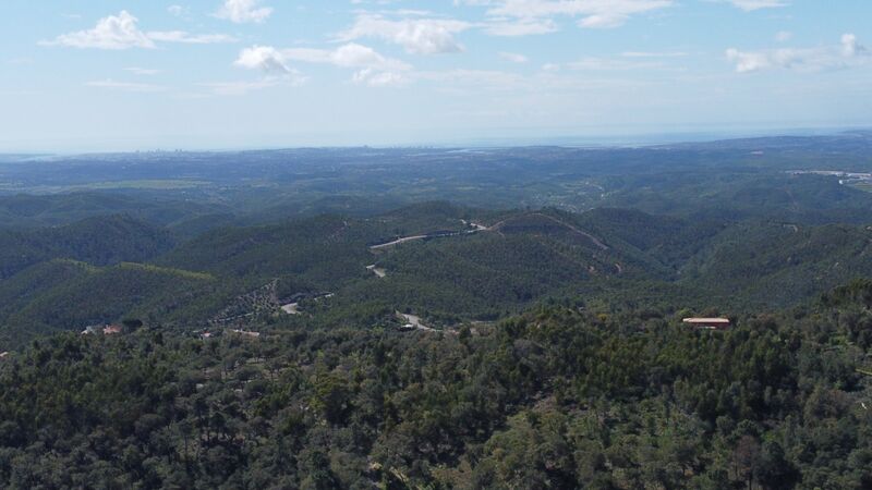 Land Rustic with 20100sqm Monchique - fruit trees, electricity, water