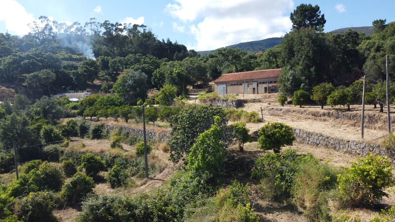 Farm 3 bedrooms Caldas de Monchique - good access, water
