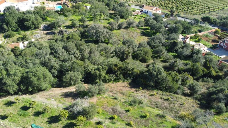 Land Rustic with 4120sqm Torre São Bartolomeu de Messines Silves - olive trees