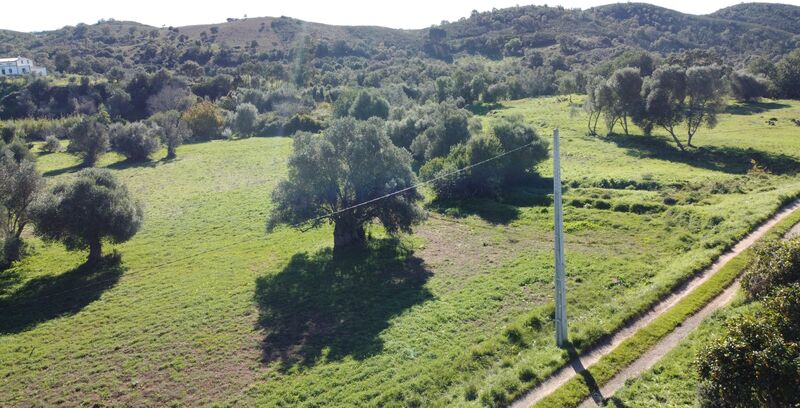 земля загородный c 9400m2 Vale Fuseiros São Bartolomeu de Messines Silves - электричество, вода