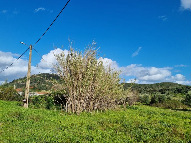 Land with 2440sqm Vale Fuseiros São Bartolomeu de Messines Silves - ,