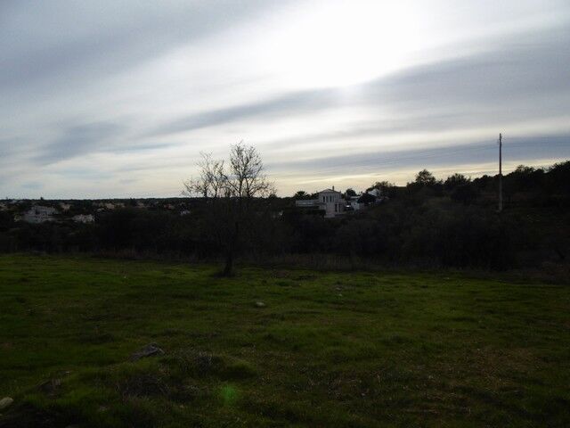 земля загородный c 11710m2 Lagoa - Estômbar Lagoa (Algarve) - оливковые деревья