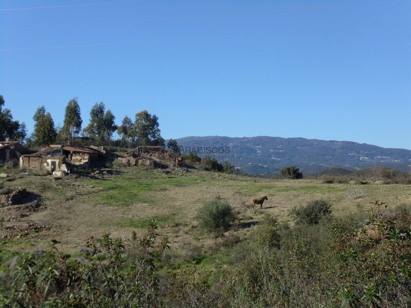 Land Rustic with 133750sqm Portimão - Casas Velhas - water, electricity, well