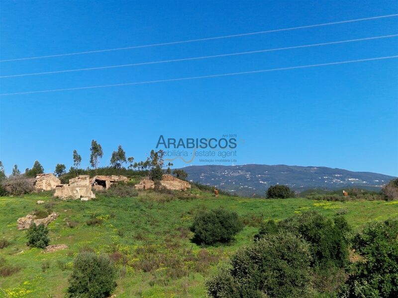 Land Rustic with 133750sqm Portimão - Casas Velhas - water, electricity, well