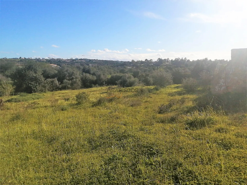 Terreno com 4690m2 Lagoa - Estômbar Lagoa (Algarve) - garagem