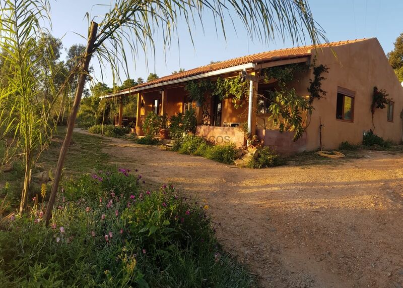 Farm 3 bedrooms Monchique - Marmelete - kitchen, fruit trees, electricity, water, equipped