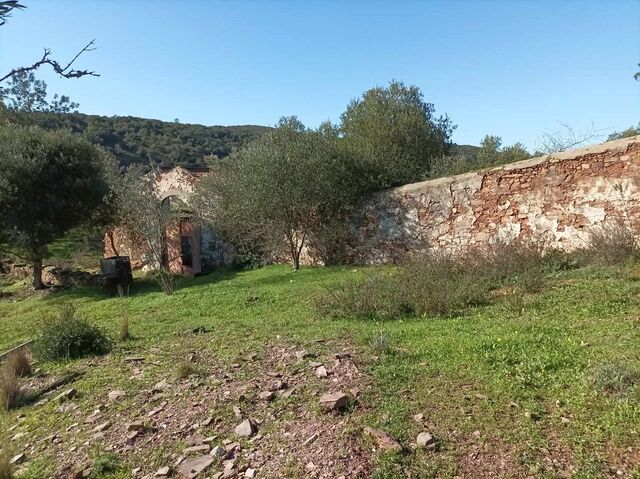 Terreno para construção São Brás de Alportel - água, oliveiras, bons acessos, sobreiros, electricidade