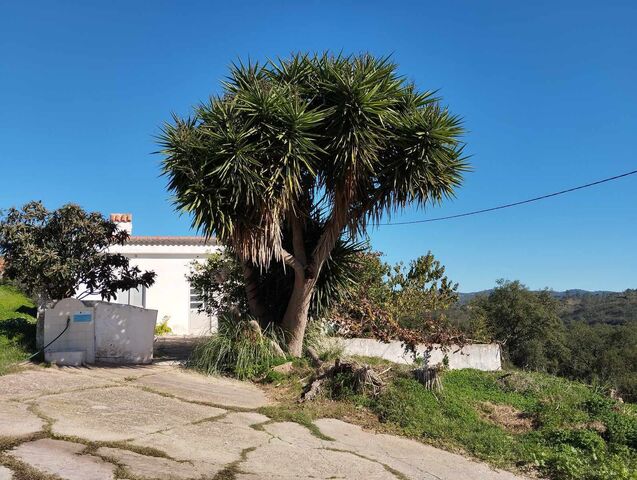 House V2 Salir Loulé