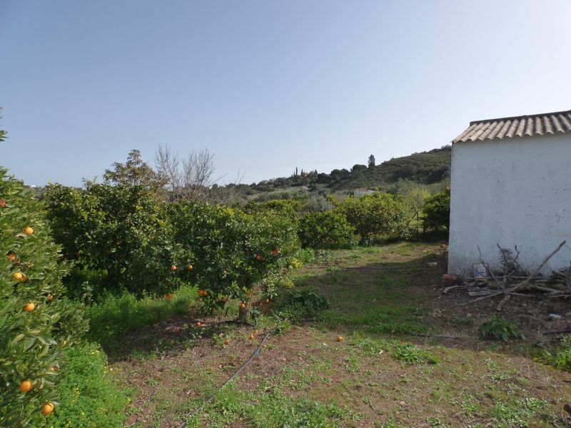 земля загородный c 5240m2 São Bartolomeu de Messines Silves - электричество, колодец, фруктовые деревья, вода