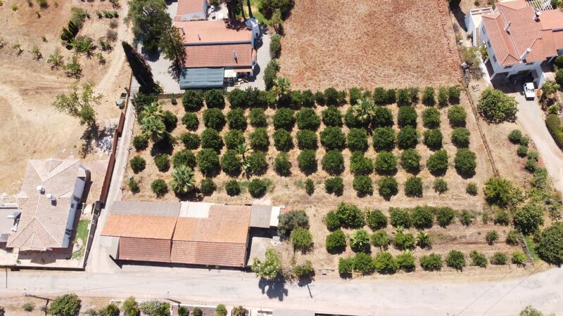 Lote de terreno Agrícola com 3150m2 Santo Estêvão Silves - árvores de fruto, água da rede, água, bom acesso