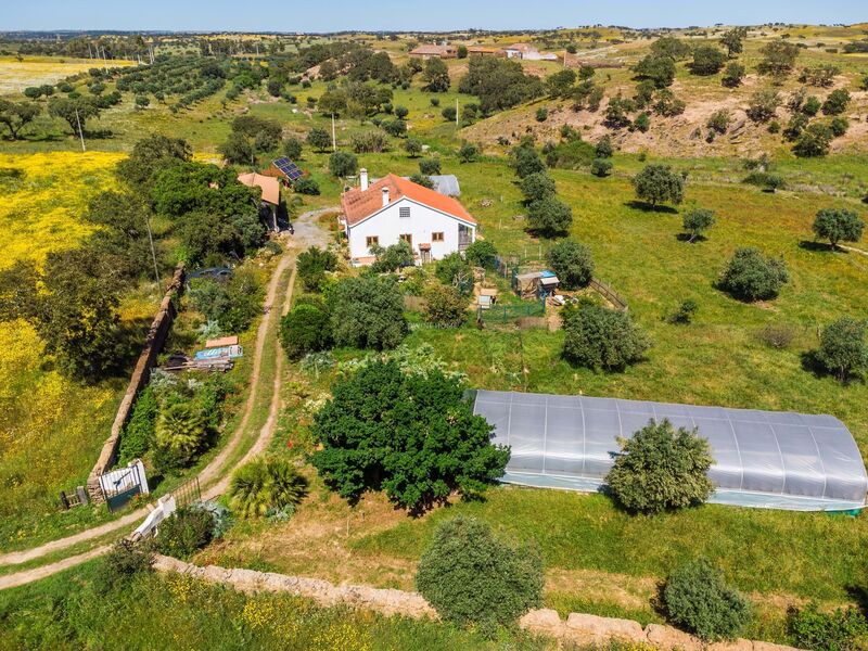 Home V3 Modern in the field Ourique - fireplace, garden, gardens, terrace, terraces