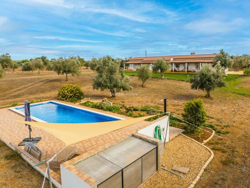 House Typical in the countryside 4 bedrooms Ferreira do Alentejo e Canhestros - store room, swimming pool, terrace, garden, air conditioning, barbecue, double glazing