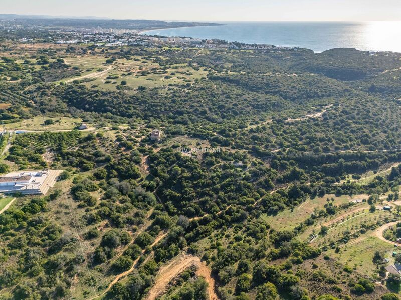 Land with 15080sqm Porches Lagoa (Algarve) - water, easy access, olive trees