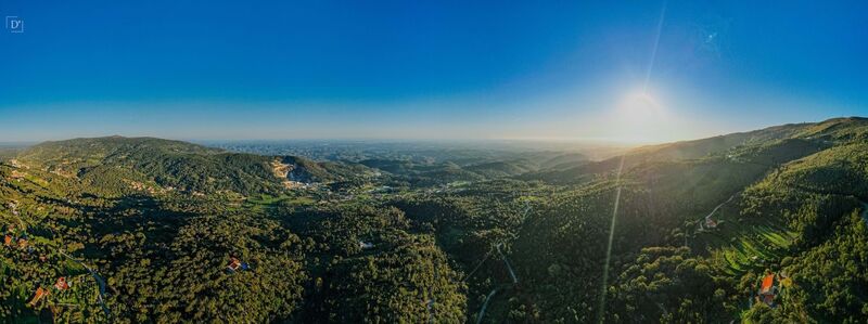 Loja Silves