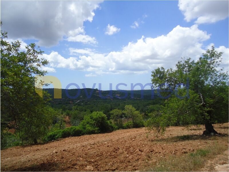 Land Rustic with 2440sqm Monte Novo Paderne Albufeira - sea view, water