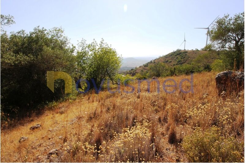 Land with 5000sqm Pico Alto São Bartolomeu de Messines Silves