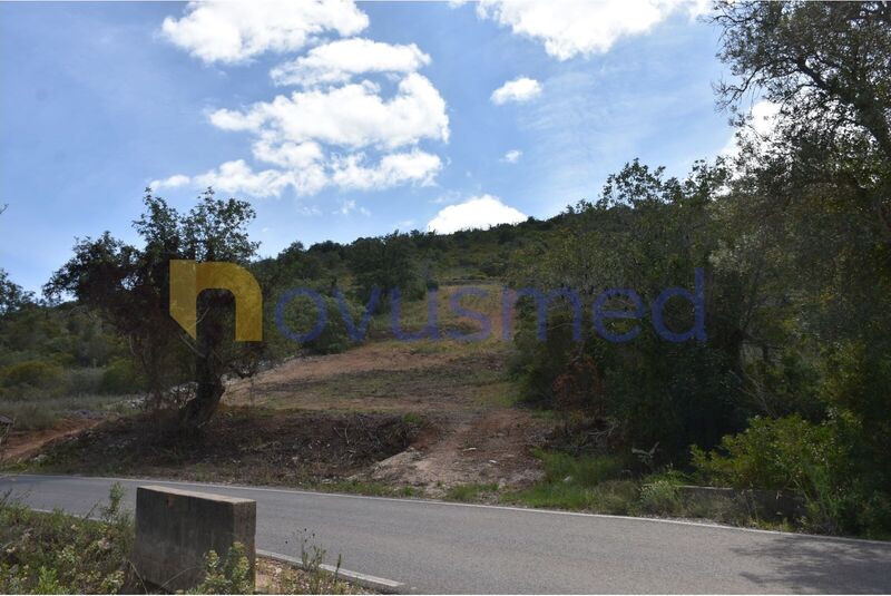 Land Rustic with 2440sqm Cerro Grande Paderne Albufeira - easy access, electricity, water