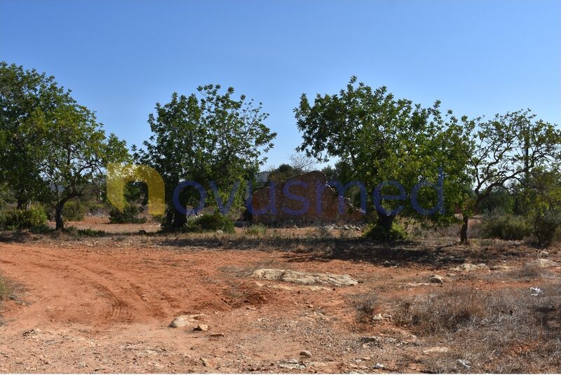 Homestead V2 Cerro de Ouro Paderne Albufeira - mains water, good access, electricity, water