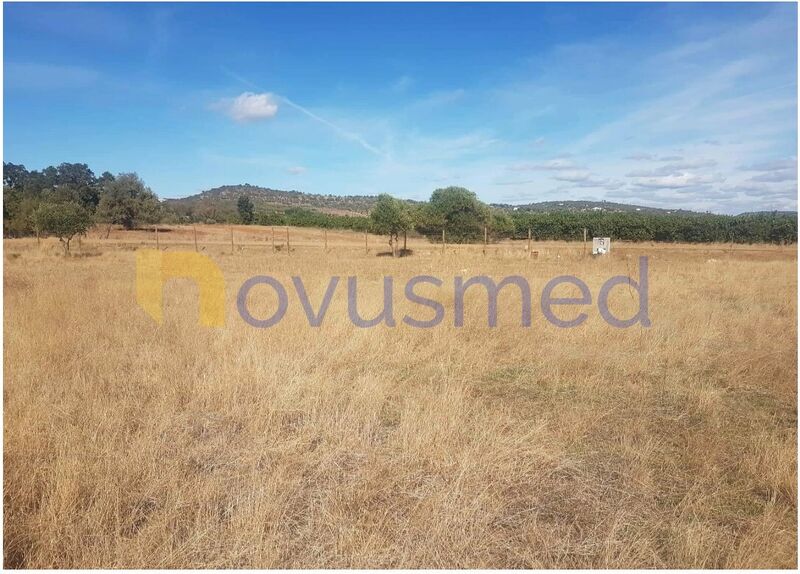 Land Rustic with 1960sqm Benaciate São Bartolomeu de Messines Silves - olive trees, water, well, good access, electricity