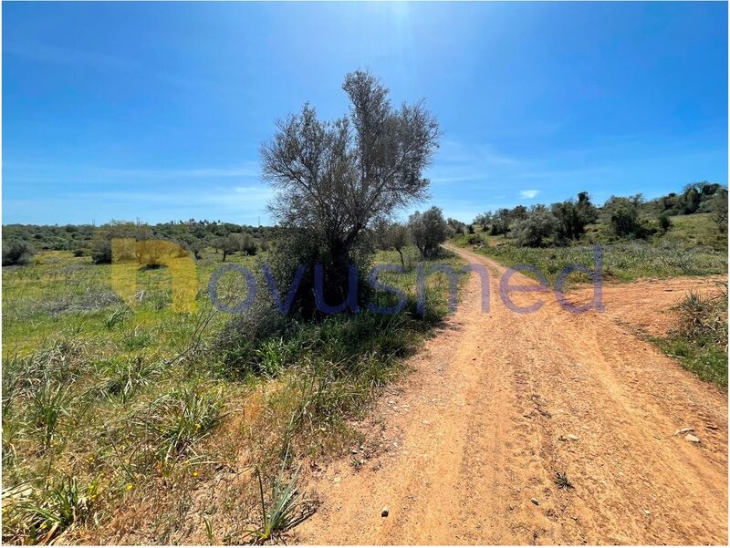 Land Agricultural with approved project Baiãs Silves - easy access