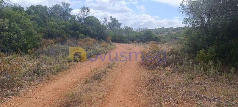 Terreno Rústico com 4520m2 Paderne Albufeira