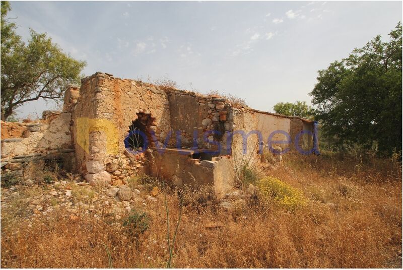 Farm Fontainhas Ferreiras Albufeira