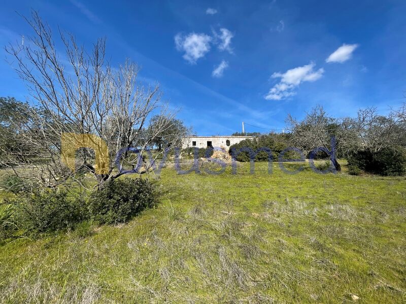 Farm Paderne Albufeira - garden, terrace