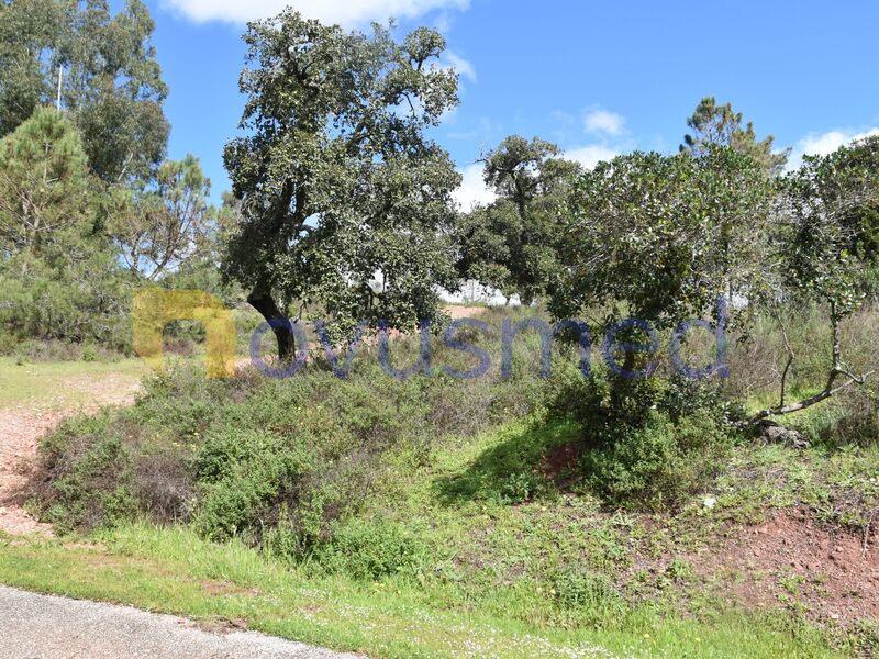 Land Rustic with 4940sqm Monte Curral Alte Loulé - electricity, easy access, cork oaks, water