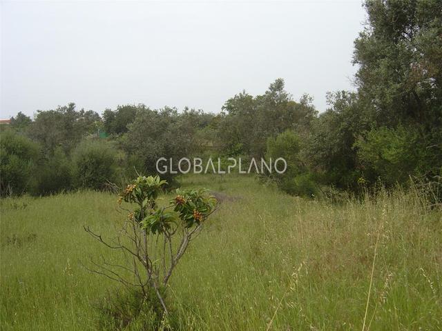Land with 10820sqm Silves