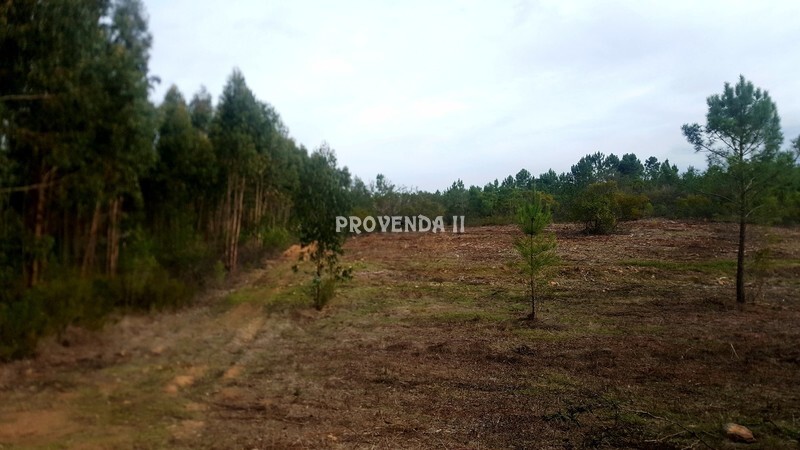Land Agricultural with 61000sqm Aljezur - water, mains water