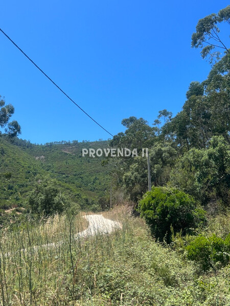 Land with 59000sqm Aljezur - cork oaks, electricity, water