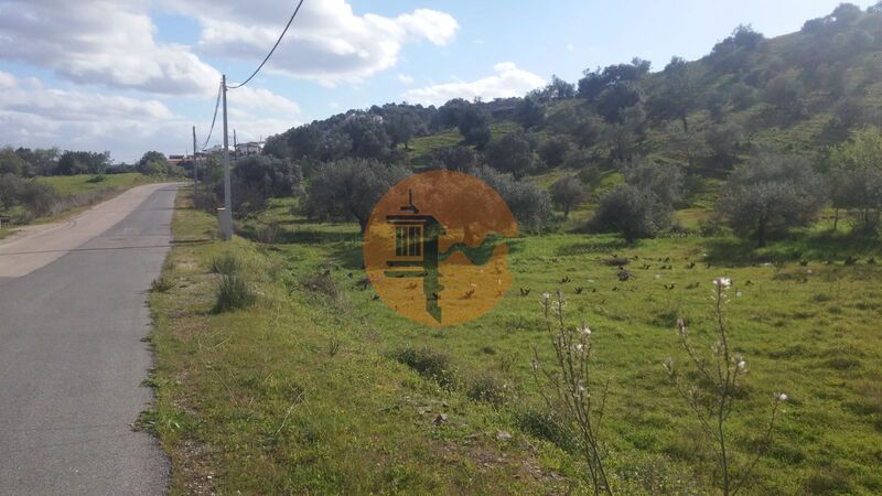 Land Rustic with 3920sqm Alcoutim - easy access, fruit trees, water hole, electricity