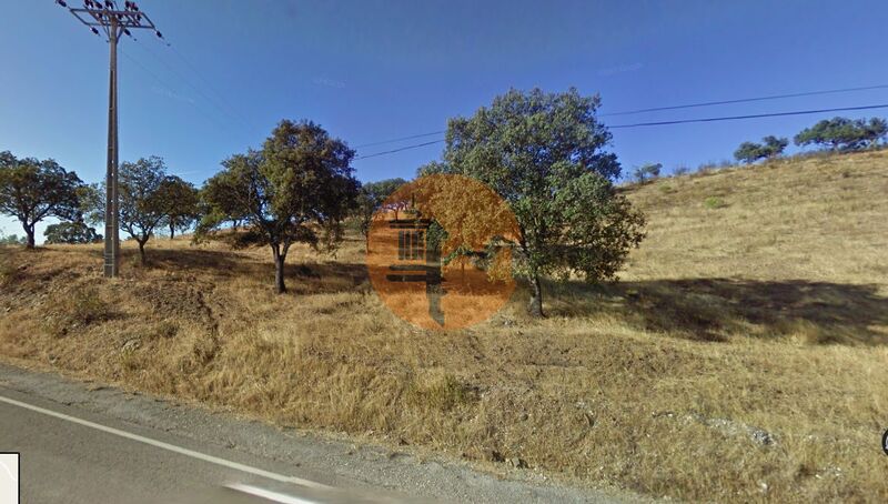 Land Rustic with 6480sqm Quebradas Odeleite Castro Marim - fruit trees