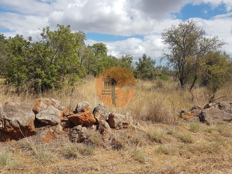 Land Rustic with 2957sqm Alte Loulé - electricity, water, mains water