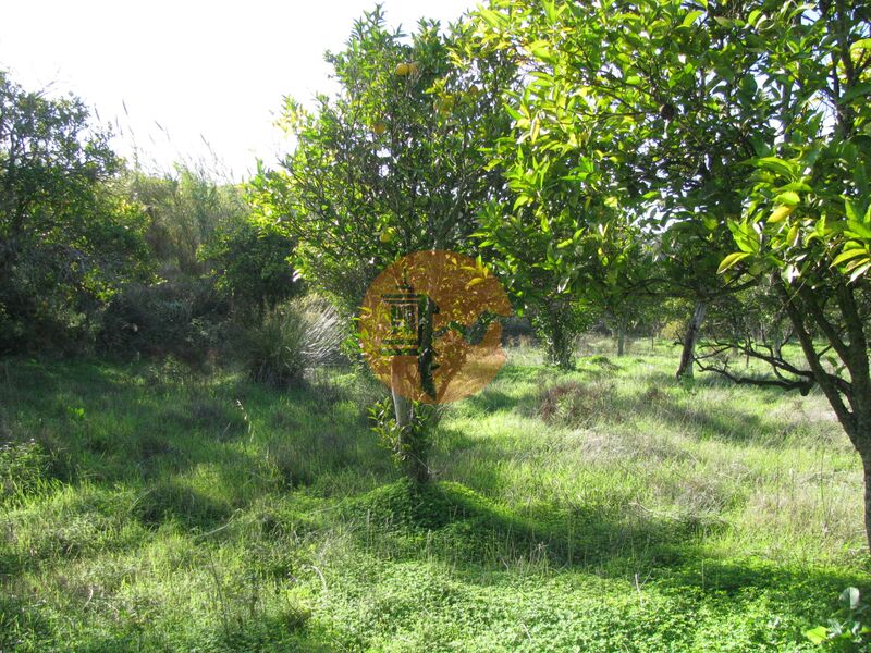 земля агрикультурный c 1180m2 Junqueira Azinhal Castro Marim - орошенный, фруктовые деревья, отличный подъезд, апельсиновые деревья