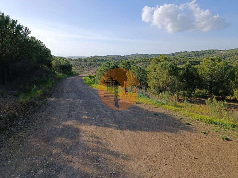 Land Agricultural with 42480sqm Beliche Castro Marim - great view, easy access