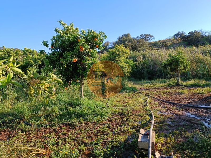 Terreno novo com 4880m2 Rio Seco Castro Marim - poço, água, bons acessos, laranjeiras, árvores de fruto