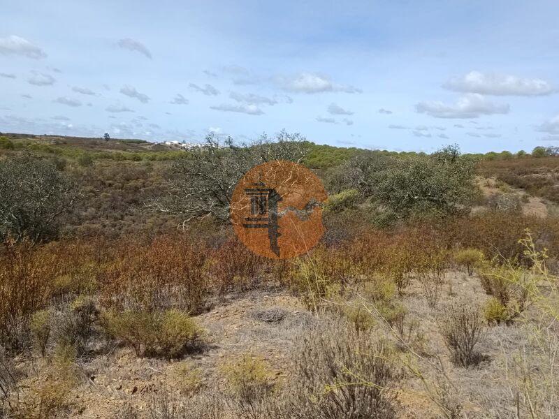 Land Rustic with 3200sqm Azinhal Castro Marim - easy access, electricity
