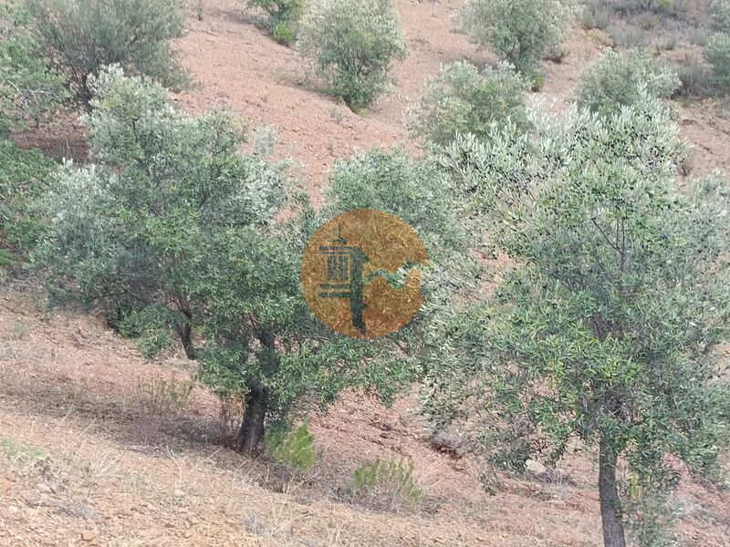 Land neue with 5640sqm Alcarias Grandes Azinhal Castro Marim - easy access, olive trees
