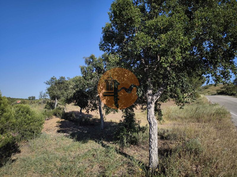 Land new with 61440sqm Corte do Gago Azinhal Castro Marim - water, cork oaks, well, olive trees