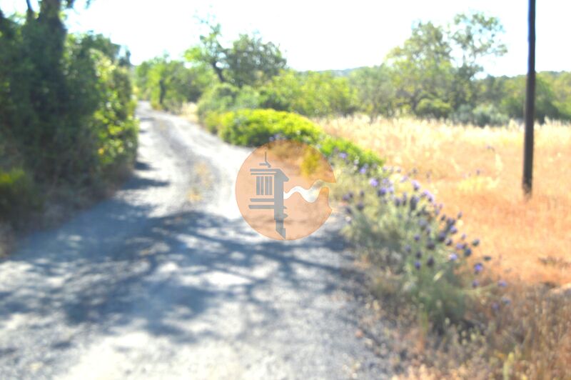 Land Agricultural with 7570sqm Santa Catarina da Fonte do Bispo Tavira - water hole, excellent access, olive trees, water, electricity, cork oaks