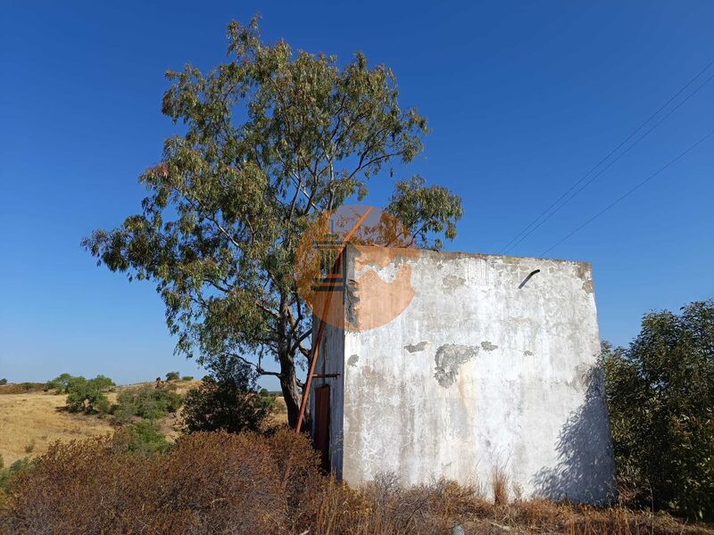 Terreno Rural Malhão Castro Marim - árvores de fruto