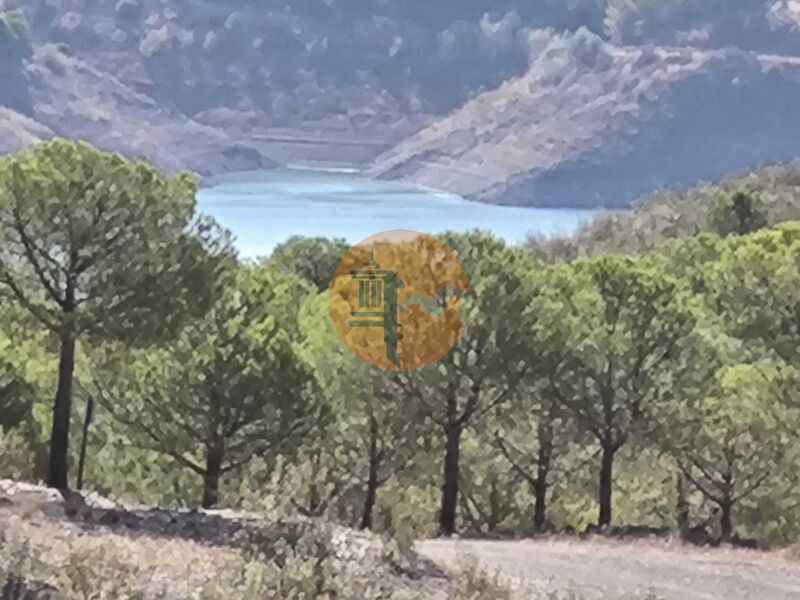 Land Agricultural with 59080sqm Corte do Gago Azinhal Castro Marim - water hole, easy access, water