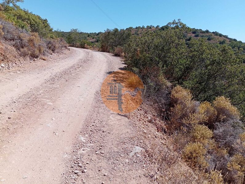 Land Agricultural with 10020sqm Santa Catarina da Fonte do Bispo Tavira - well, olive trees, water, tank, cork oaks